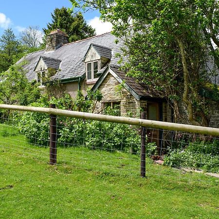Lower Goytre Farmhouse Llanfair Waterdine Exteriör bild
